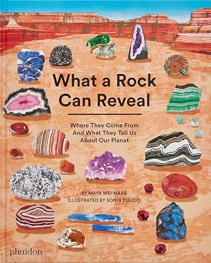 What a Rock can Reveal