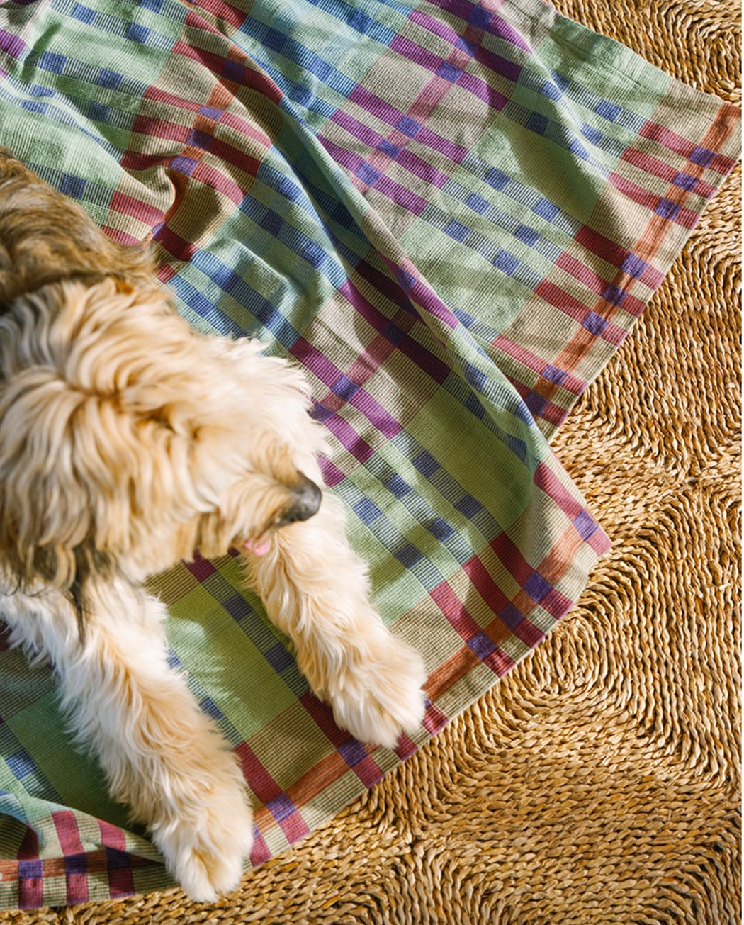 Mungo :: Fido Dog Blanket