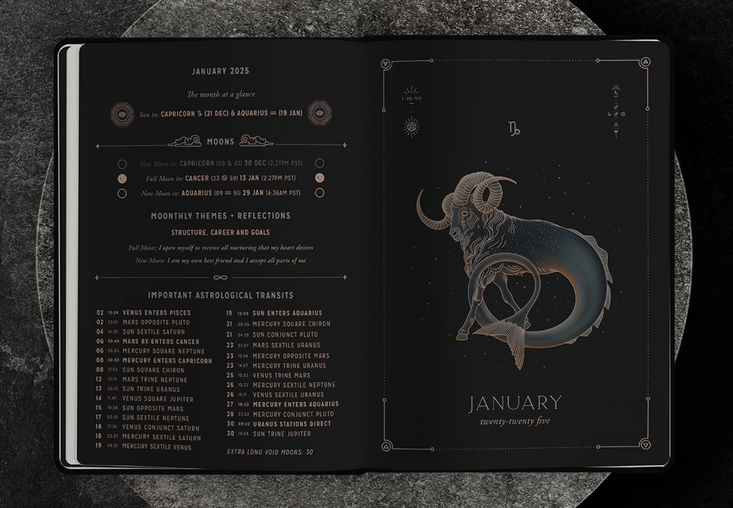 Magic of I :: 2025 Astrological Planner